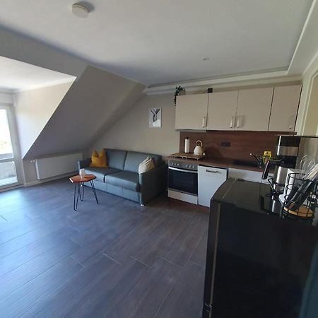 Neumuehler Hof- Ferienwohnung "Benjamin" Mit Grosser Privater Dachterasse Und Guter Anbindung In Die City Schwerin  Luaran gambar