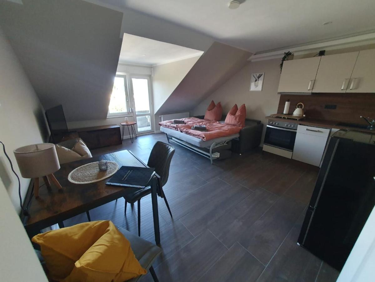 Neumuehler Hof- Ferienwohnung "Benjamin" Mit Grosser Privater Dachterasse Und Guter Anbindung In Die City Schwerin  Luaran gambar