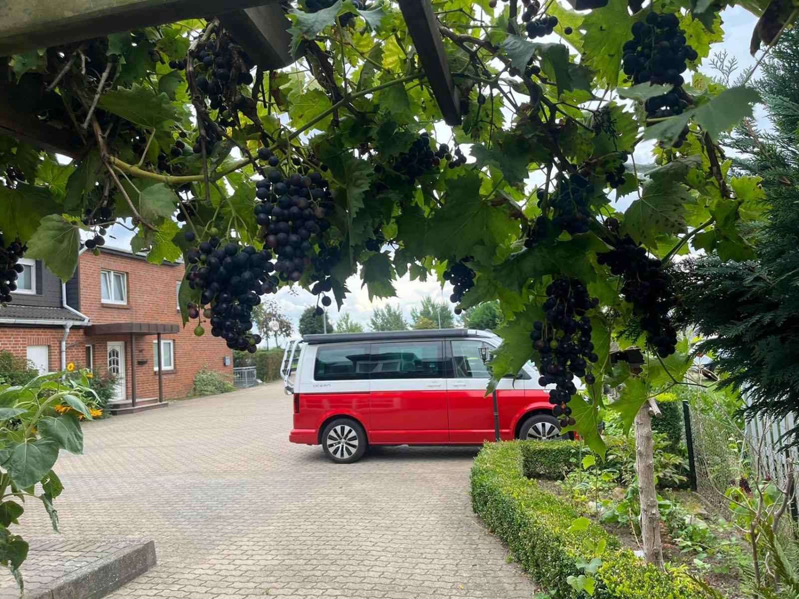 Neumuehler Hof- Ferienwohnung "Benjamin" Mit Grosser Privater Dachterasse Und Guter Anbindung In Die City Schwerin  Luaran gambar